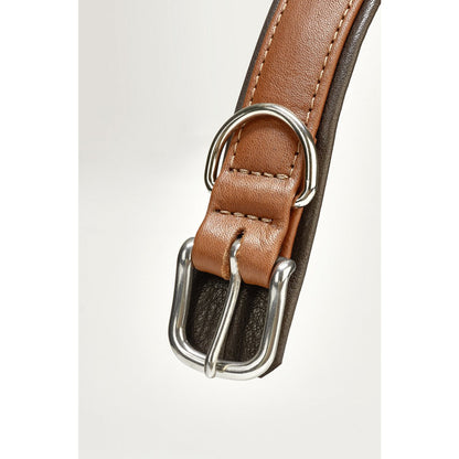 AMICI Dog Collar Cognac