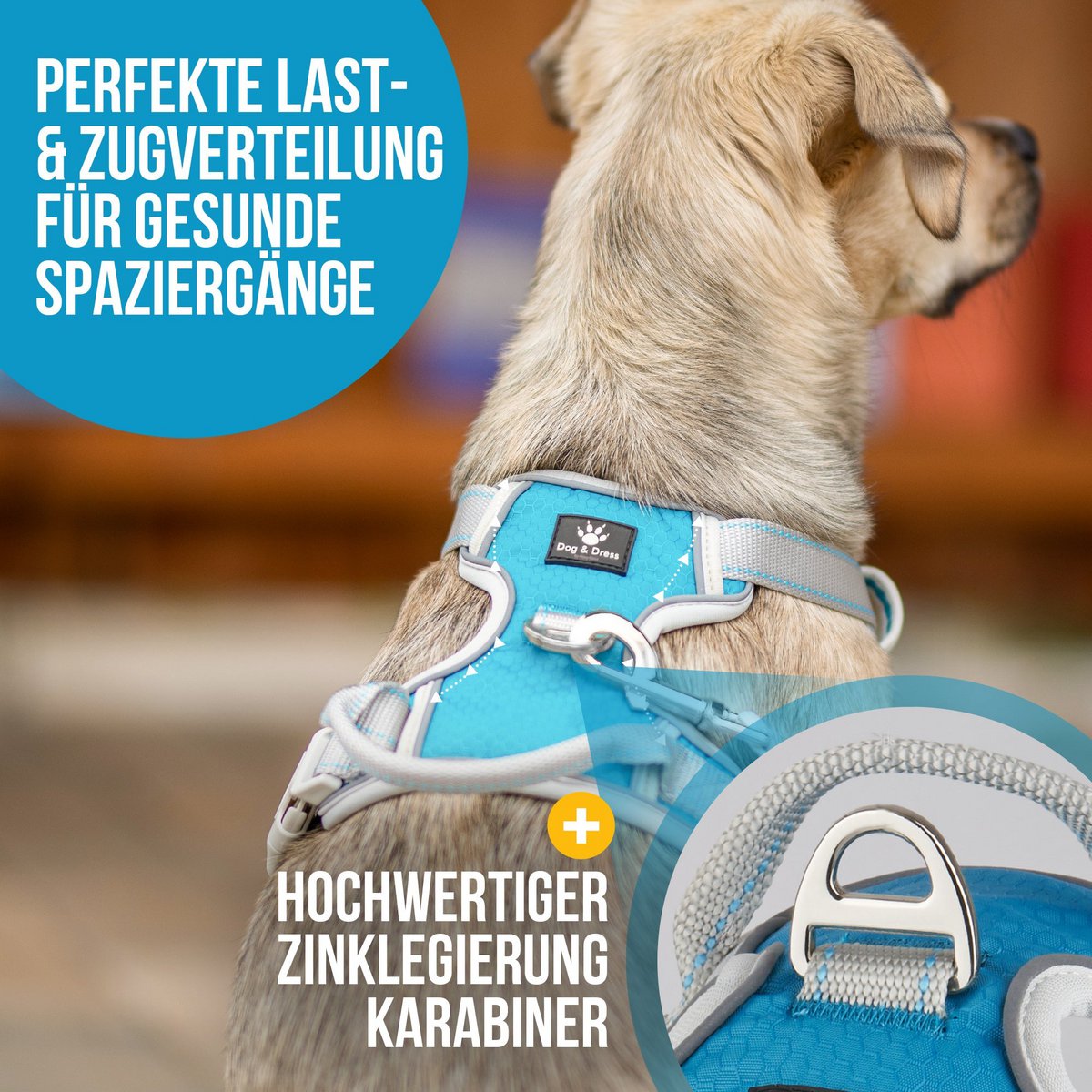 Hundegeschirr + Leine Set "Rocket"