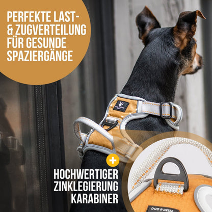 Hundegeschirr + Leine Set "Rocket"