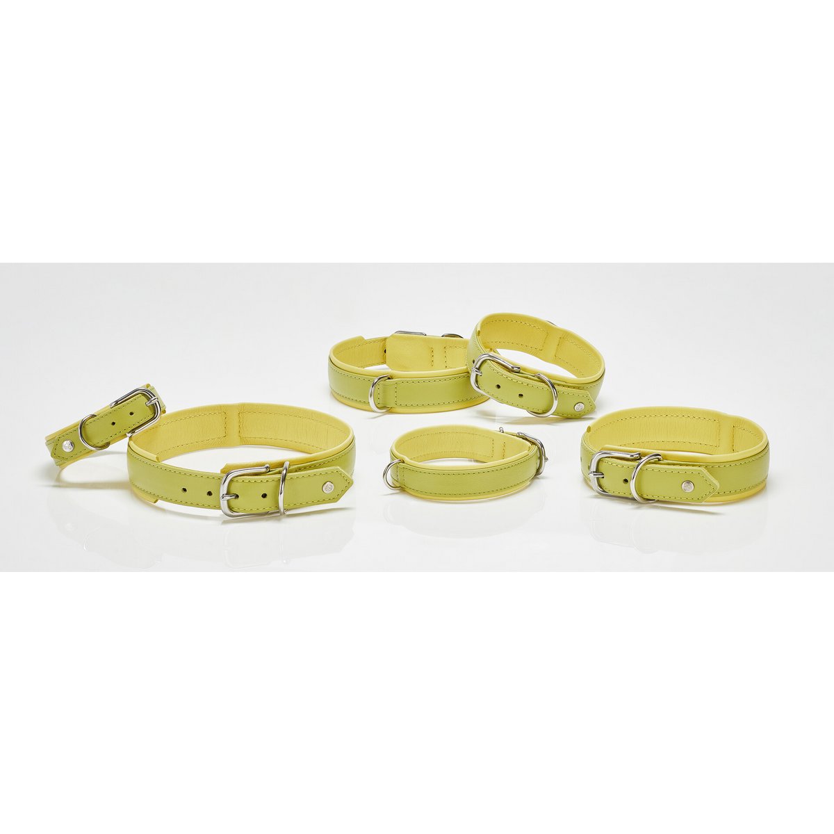 AMICI Hundehalsband Zitrone