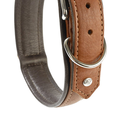 AMICI Hundehalsband Cognac