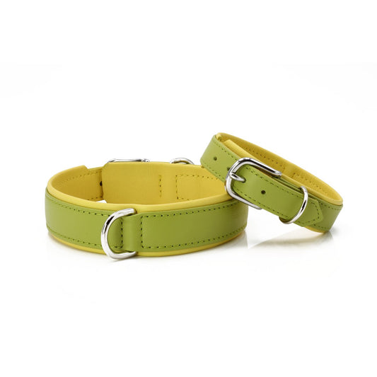 AMICI Hundehalsband Zitrone