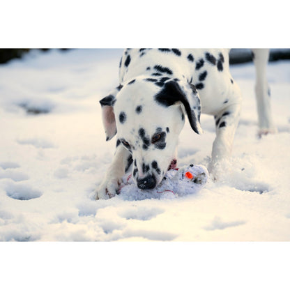 Shawn der Schneemann Kauspielzeug