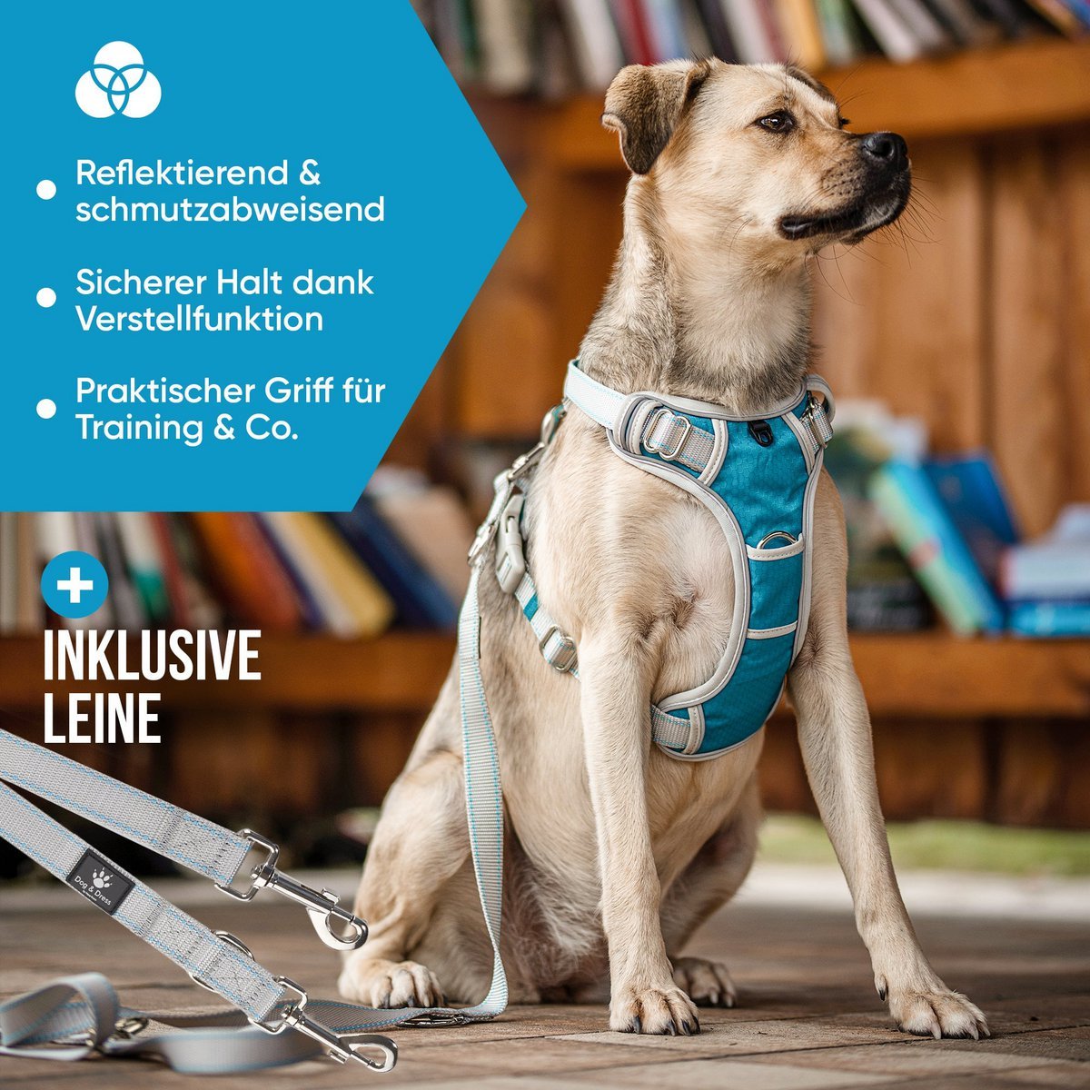 Hundegeschirr + Leine Set "Rocket"