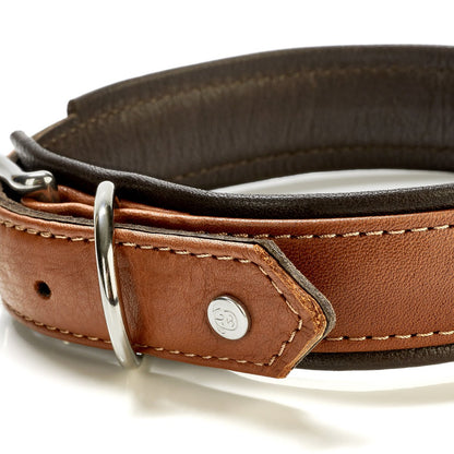 AMICI Hundehalsband Cognac