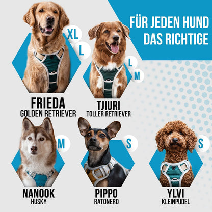 Hundegeschirr "Rocket"