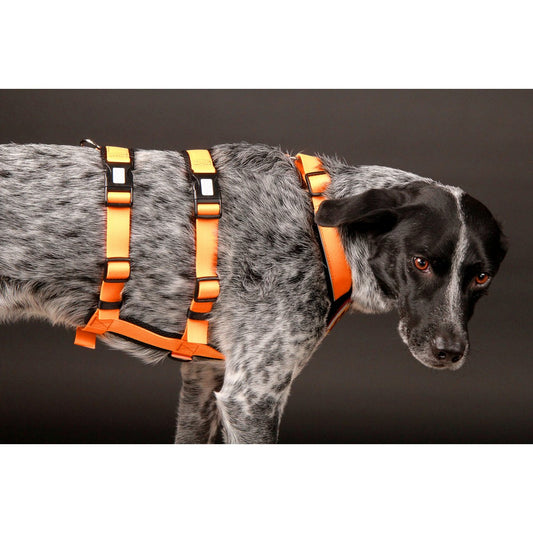 Safety harness - Patch&amp;Safe - Neon-Orange-Black