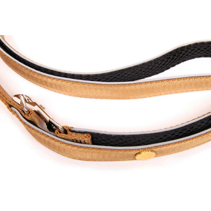 Dog leash Gold-Black-Edition, M